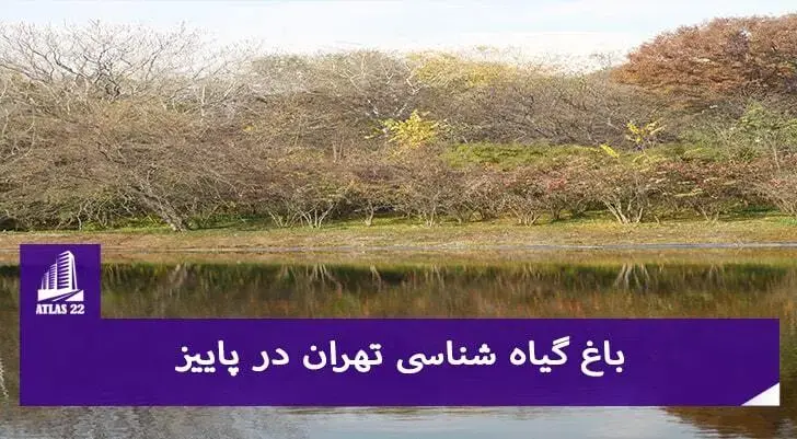 باغ گیاه شناسی تهران در پاییز | باغ گیاه شناسی منطقه 22 تهران 