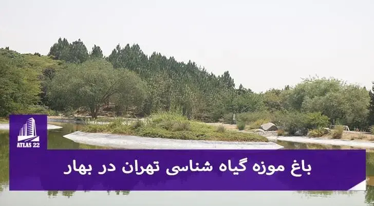 باغ گیاه شناسی در بهار | دریاچه باغ گیاه شناسی 