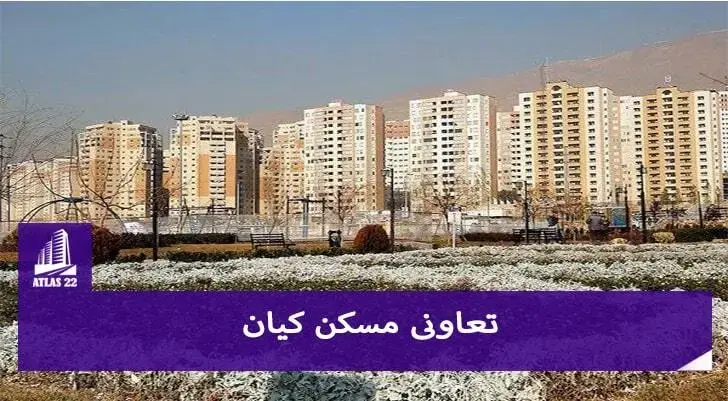 تعاونی کیان یکی از تعاونی های معتبر در منطقه 22 می باشد.
