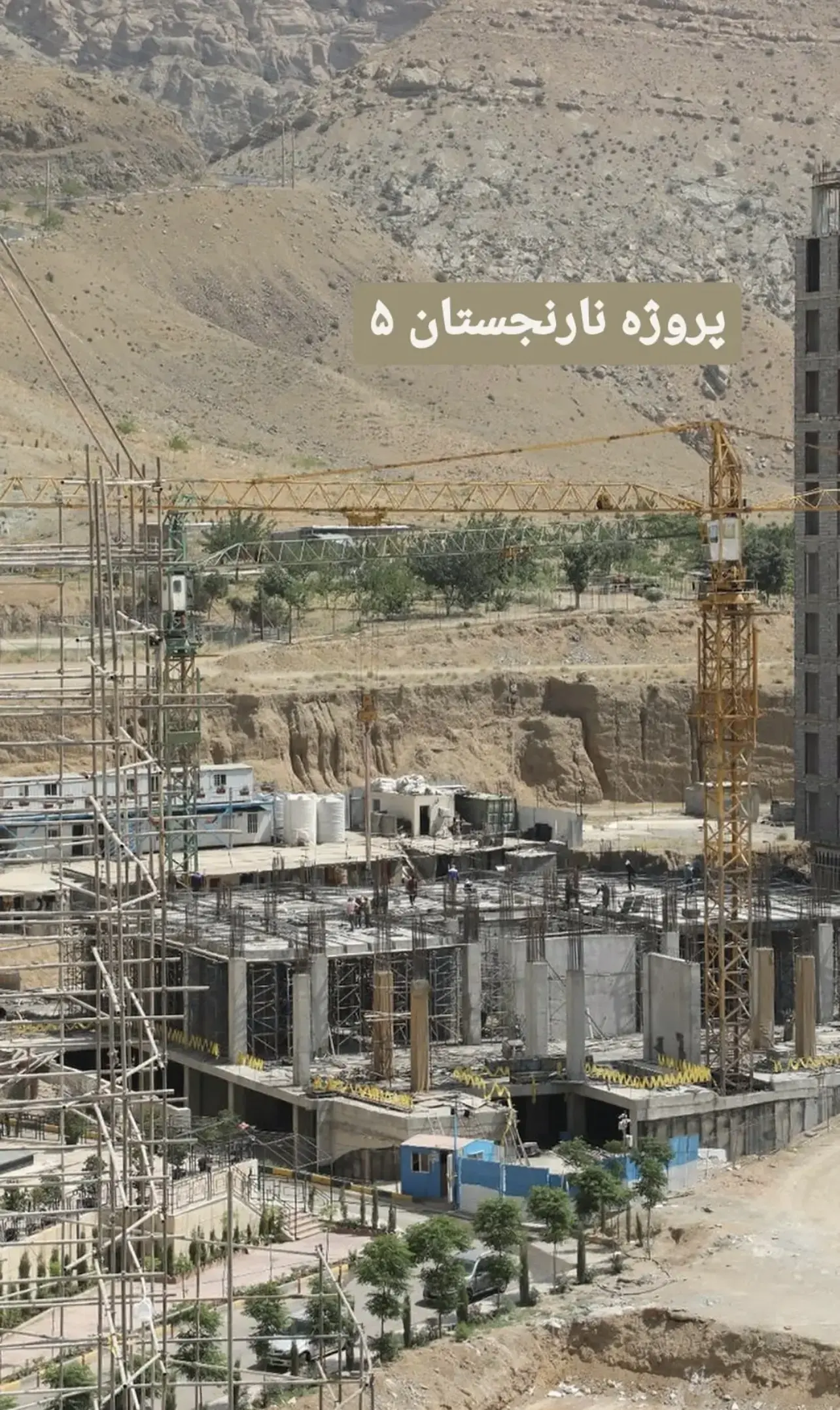 پروژه نارنجستان 5